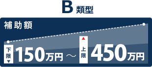 B類型